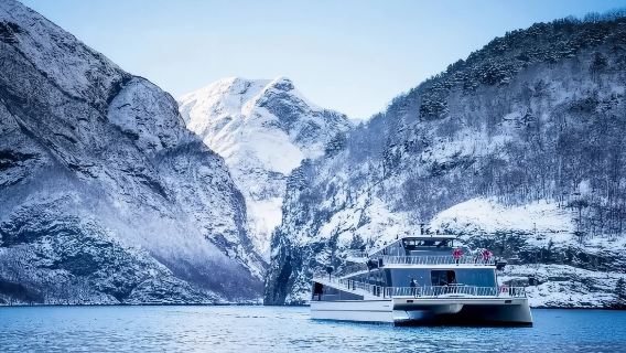 Norwegen + Bergen Flåm + Sognefjord + Nærøyfjord + Flåmsbana Tagesausflug