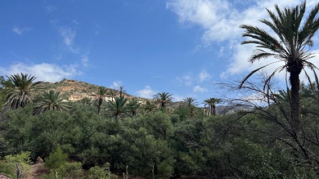 Excursión guiada de medio día a un oasis bereber con una breve caminata.