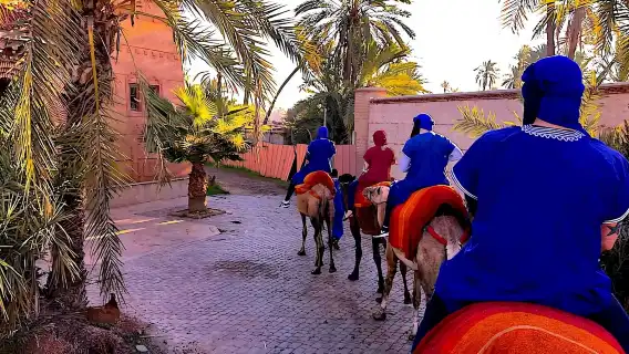 Marrakech private full-day city tour with a driver