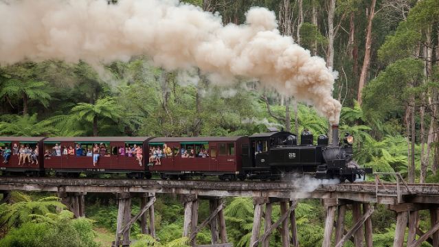 Experiencia en el Tren de Vapor Puffing Billy