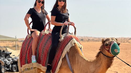 Dubai Morning 4 Seater Buggy Tour Sand Boarding & Camel ride Day Tours 7