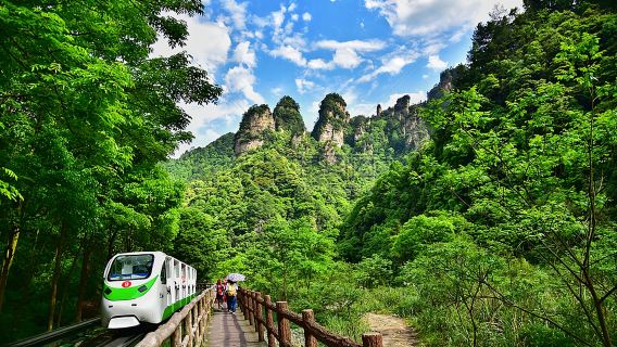 계림 출발: 위룽강 + 십리곡 + 푸리교 + 샹궁산 (대나무 뗏목 두 대 탑승 포함)