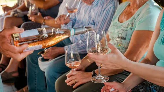 Gardasee: Weintour & Weinprobe mit lokalen Köstlichkeiten