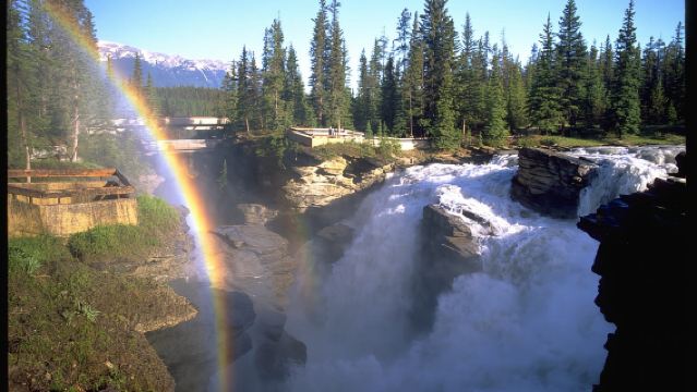 From Banff/Lake Louise: 1-Way Sightseeing Tour to Jasper