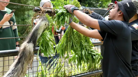 雪蘭莪州:國家動物園電子門票