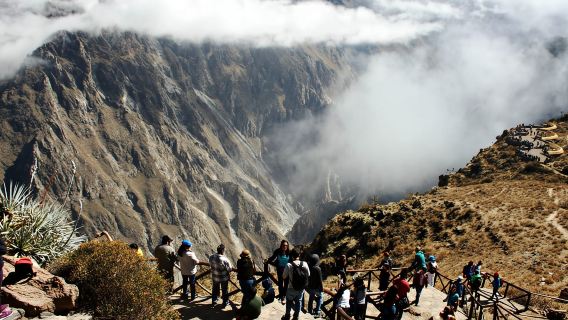 Desde Arequipa: Tour guiado de 1 día al Cañón del Colca con comidas