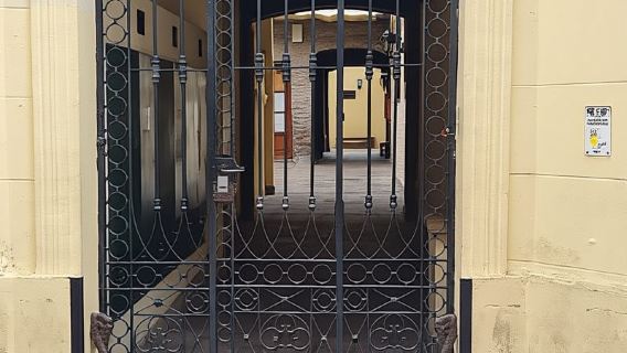 Buenos Aires: ¡San Telmo, historia, bares y tango!