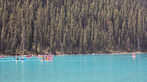 Banff/Canmore: Lago Moraine (2h), Louise (2h) e Cânion Johnston