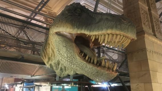 London: Tiket Masuk dan Tur Berpemandu ke Museum Sejarah Alam