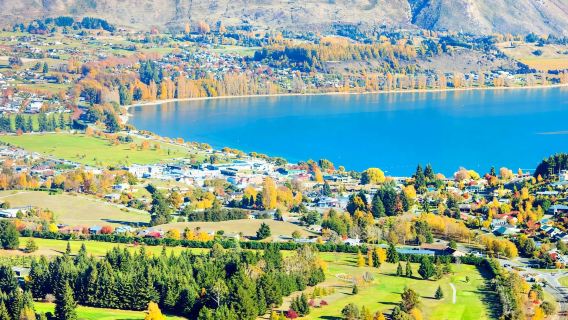 紐西蘭瓦納卡｜旅遊陪同翻譯｜展會｜商務考察洽談｜自由行地接｜接機（可私人訂製）