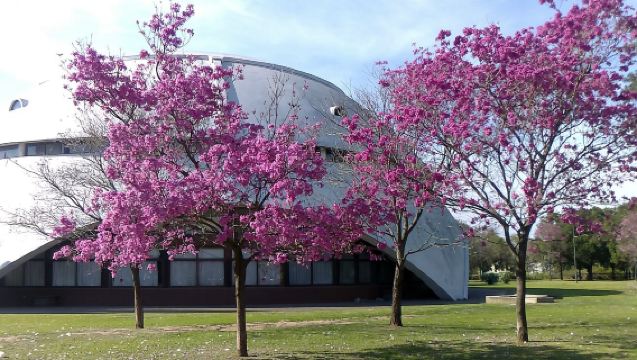 阿根廷-羅薩里奧-｜翻譯陪同｜地陪旅遊｜展會｜商務考察｜地接｜（可私人定制）