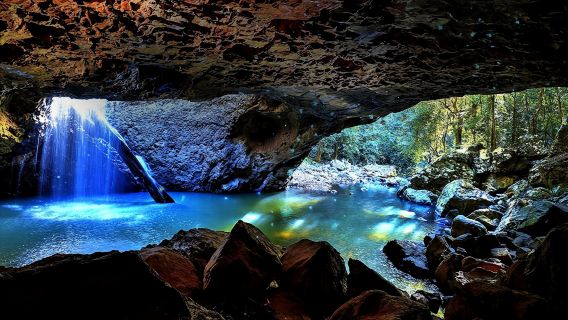 Tour notturno delle lucciole a Gold Coast con servizio in inglese, trasferimento dal centro città, nessuna mancia