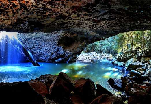 Gold Coast Tamborine Glow Worm Night Tour [English Service, City Transfers, No Gratuities] AUD 115.55