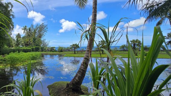 Privater Ganztagesausflug Tahiti – Grotten, Gärten & Panoramen