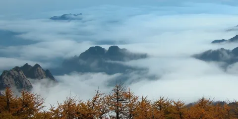 包車遊尊享私家團【太白山國家森林公園】打卡雲海.探秘太白之旅
