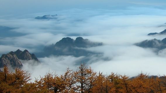 包車遊尊享私家團【太白山國家森林公園】打卡雲海.探秘太白之旅