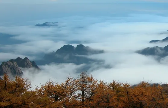 包車遊尊享私家團【太白山國家森林公園】打卡雲海.探秘太白之旅