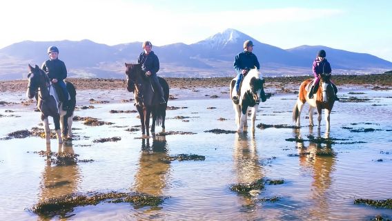Westport: Beach and Countryside Guided Horse Ride