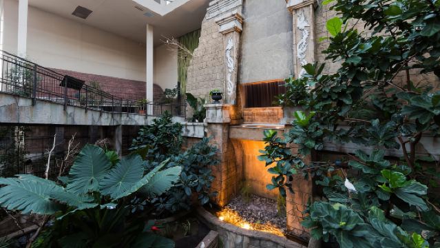 캐나다 나이아가라 폭포: 버드 킹덤 입장권