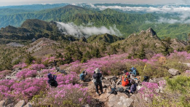 Tour giornaliero al Monte Seorak e al Tempio Naksansa da Seul