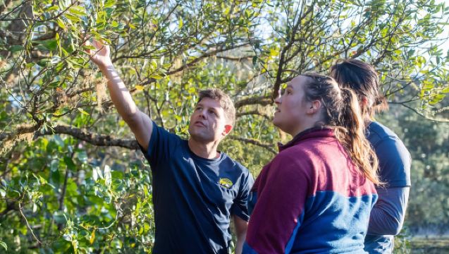 Auckland: Sunset & Night Sea Kayak Tour to Rangitoto Island