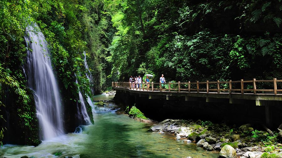 萬盛黑山谷+石林風景區一日遊【重慶出發】