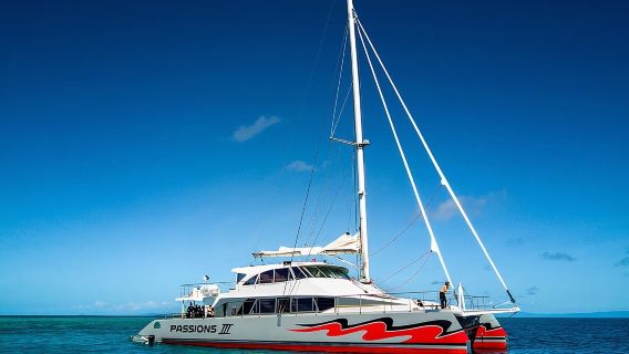 Niềm đam mê của Paradise Du thuyền ngắm rạn san hô Great Barrier bằng tàu Catamaran