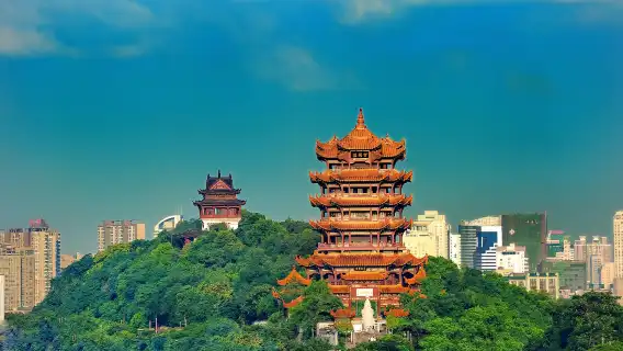 Wuhan University + Yellow Crane Tower + Yangtze River Bridge + East Lake + Guishan guide|Translation sights adjustable G