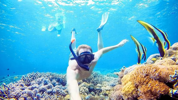 Snorkeling Nusa Penida and Island Tour Package