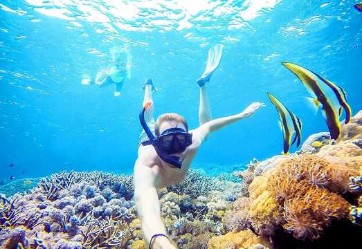 Snorkeling Nusa Penida and Island Tour Package