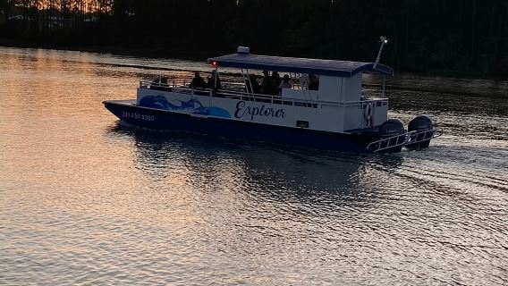 Dolphin and Nature Sunset Cruise from Orange Beach