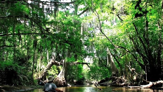 Wild & Scenic Loxahatchee River Guided Tour
