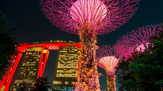 Эксклюзивный Индивидуальный тур с арендой транспорта по Сингапуру: золотой гид-водитель покажет вам весь Город Льва.