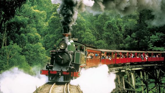 疏芬山金礦淘金+普芬比利蒸汽火車旅行：墨爾本包車一日遊