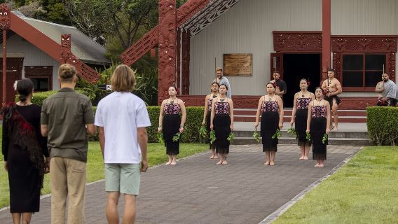 New Zealand iconic attractions: Hobbiton + Te Puia - Rotorua, NZ (includes admission ticket/guide/meal) Auckland-Rotorua & Rotorua-Panoramic View Bus Tour