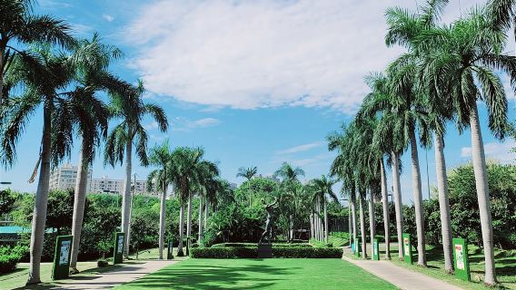 Частная однодневная экскурсия в Шэньчжэнь: эко-спортивная коммуна Мишн-Хиллз