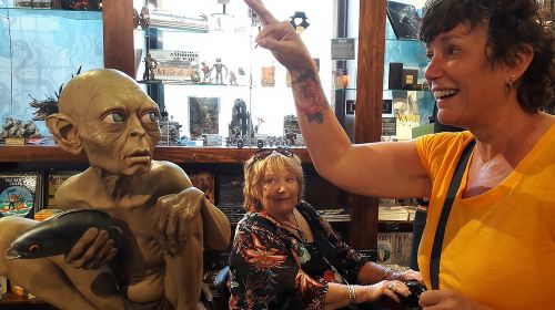 Full Day Tour of Wellington Day Tours