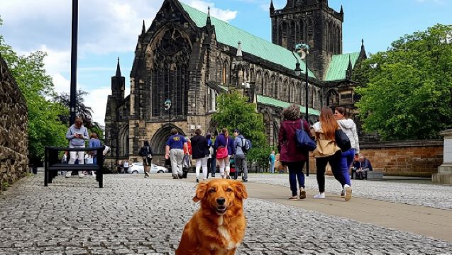 Gander Walking Tours in Glasgow