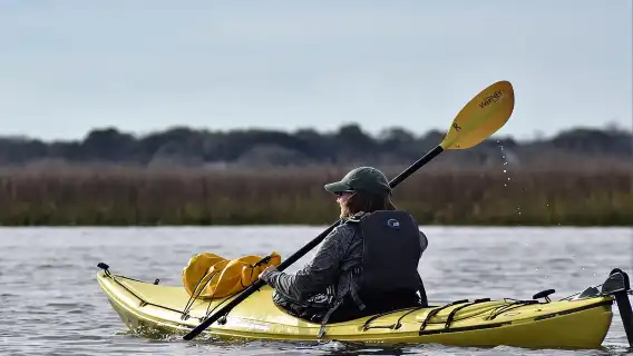 2-Hour Guided Kayak Eco Tour in Charleston