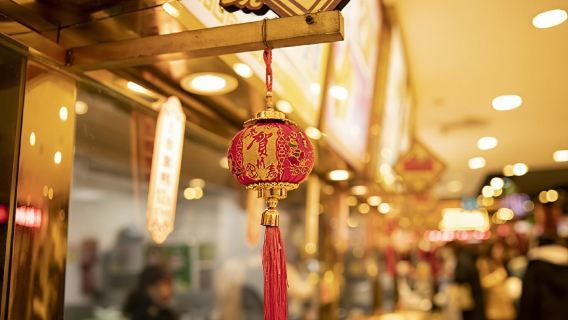 Private Foreign Language Guided Tour in Shanghai (Small Group)