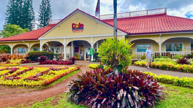 オアフ島：ワイキキからドール・プランテーション＆ハレイワまでの往復シャトル