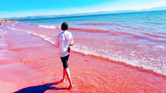 Lawatan sehari sewaan peribadi ke Muzium Wilayah Yunnan + Kawasan Pemandangan Luchong Tasik Fuxian + Gua Ikan Mingxing + Pantai Merah