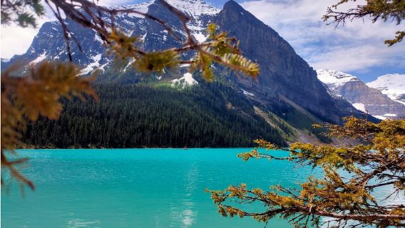 Excursion d'une journée au parc national Banff, au lac Louise, au lac Moraine et au canyon Johnston