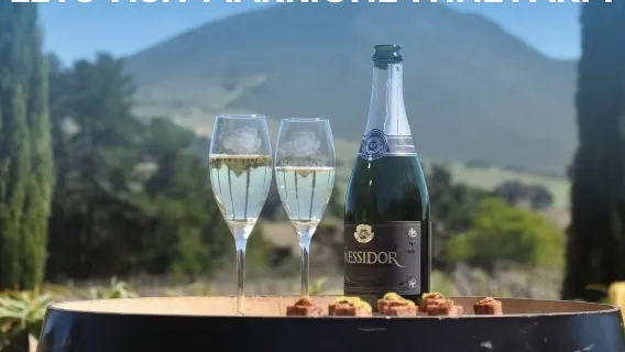 Cape Winelands: tour privado de vino de día completo