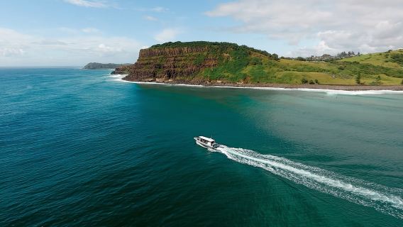 Byron Bay: Crucero con delfines
