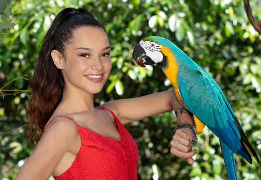 Kuranda: Birdworld Entry Ticket AUD 20.91
