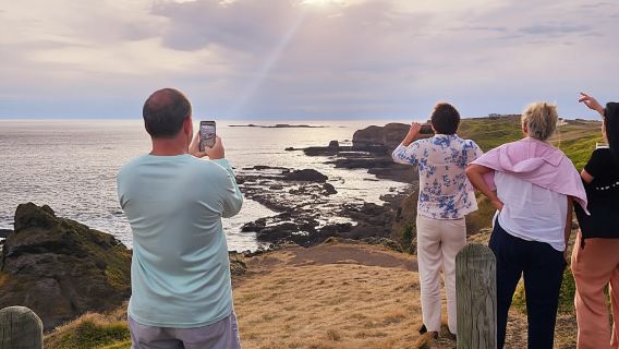 Phillip Island: Golden Hour Penguin Express Tour