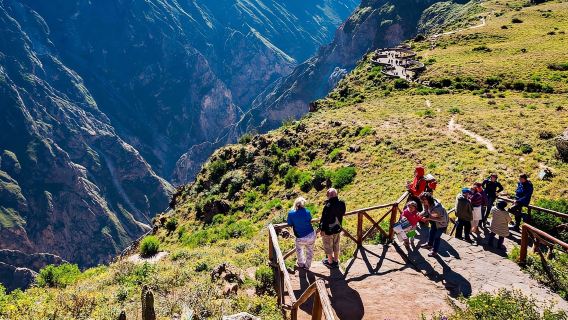 Từ Arequipa: Tour 1 ngày đến Hẻm núi Colca + Bữa sáng