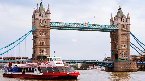London: Harry Potter-Tour, St. Paul's Cathedral und Flusskreuzfahrt