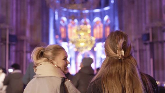 Wien: Licht der Schöpfung in der Votivkirche – eine immersive Lichtshow